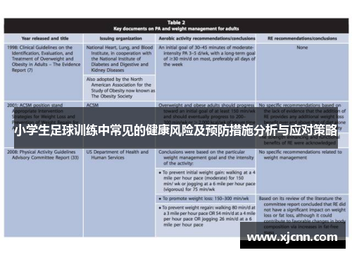 小学生足球训练中常见的健康风险及预防措施分析与应对策略