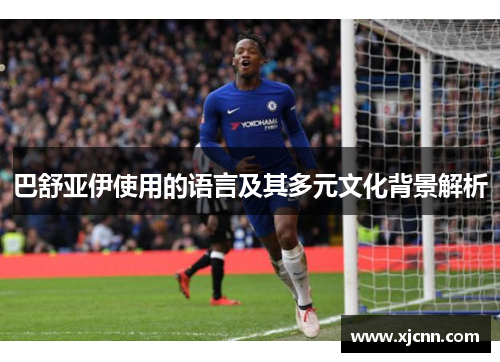 巴舒亚伊使用的语言及其多元文化背景解析 巴舒亚伊使用的语言及其多元文化背景解析