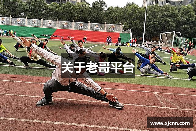 关于老哥平台